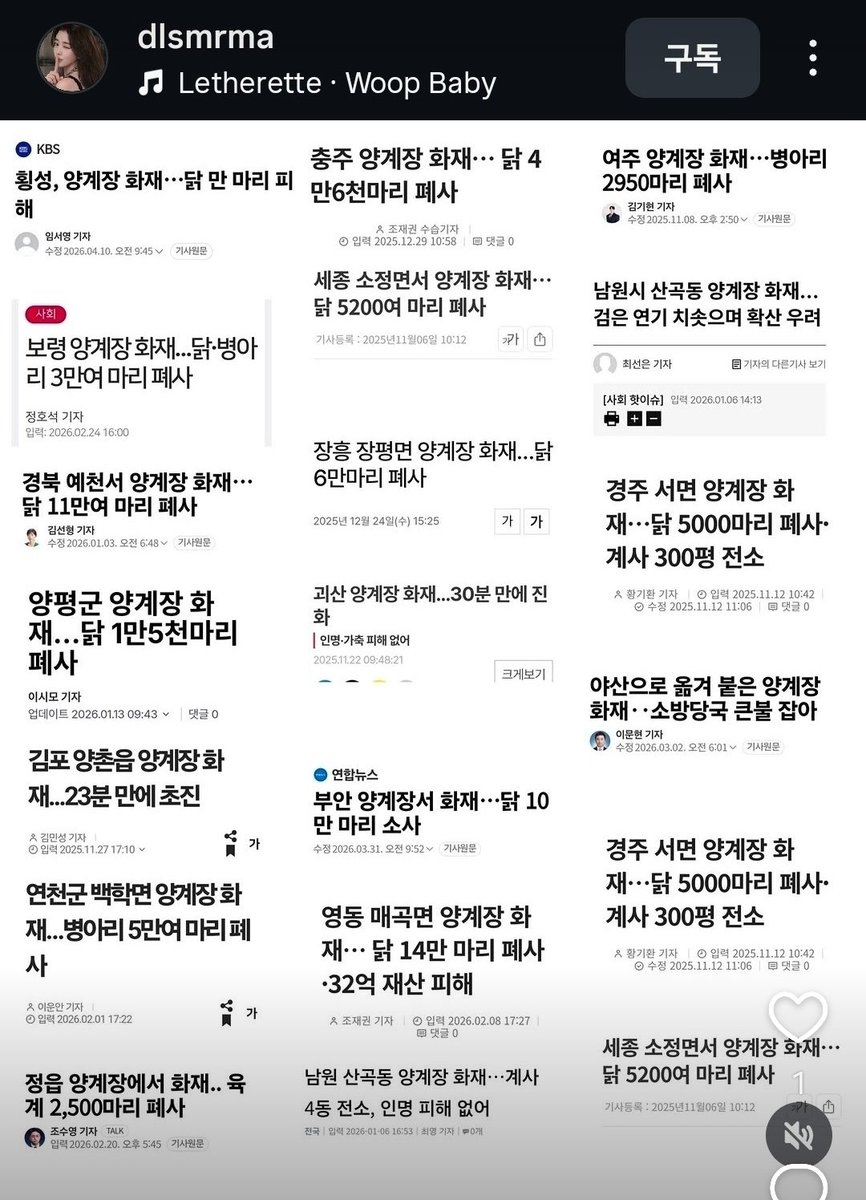 pjh-forever-young tweet media