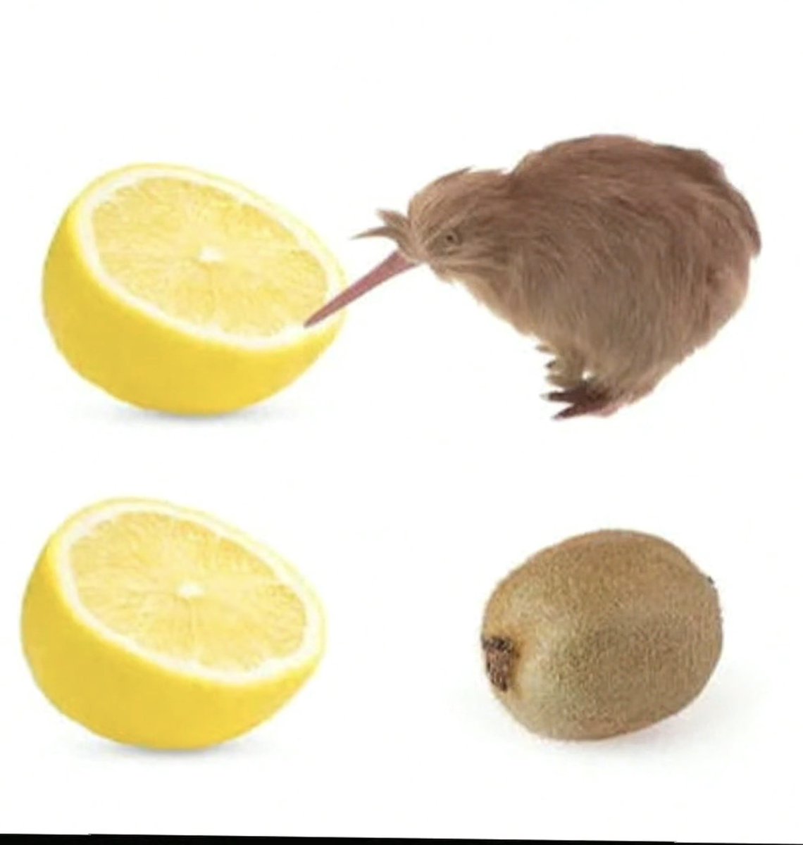 wsb｜3カ国渡り歩くロー生🇯🇵🇺🇸🇦🇺 tweet media