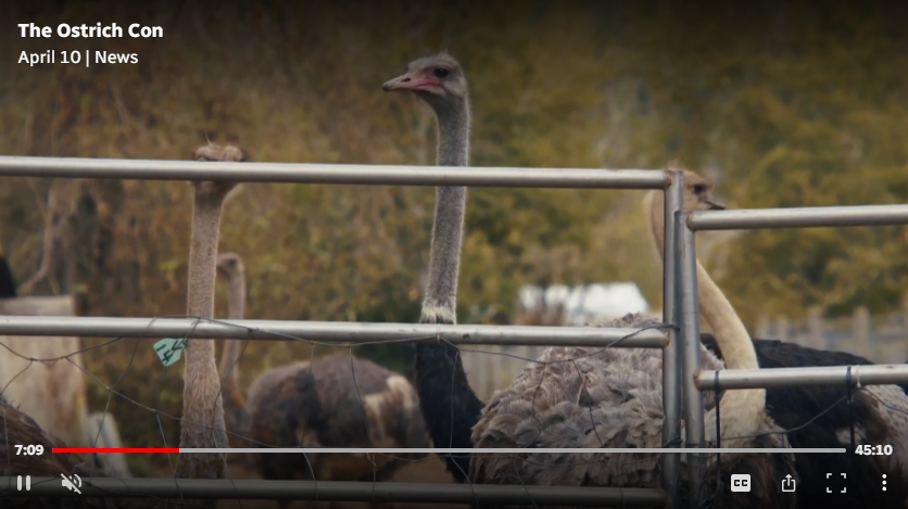 Jason Pugh 🇨🇦 🏳️‍🌈 tweet media