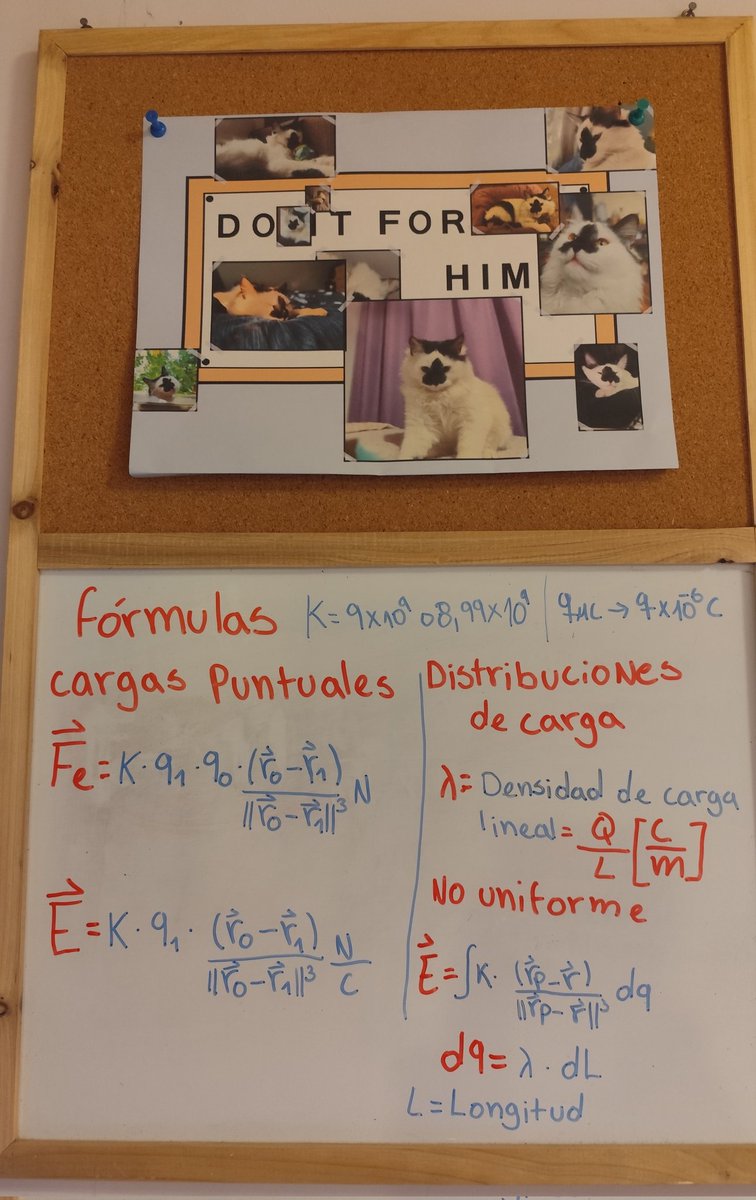 Daaaniii /•᷅‎‎•᷄\੭| Studytwt tweet media