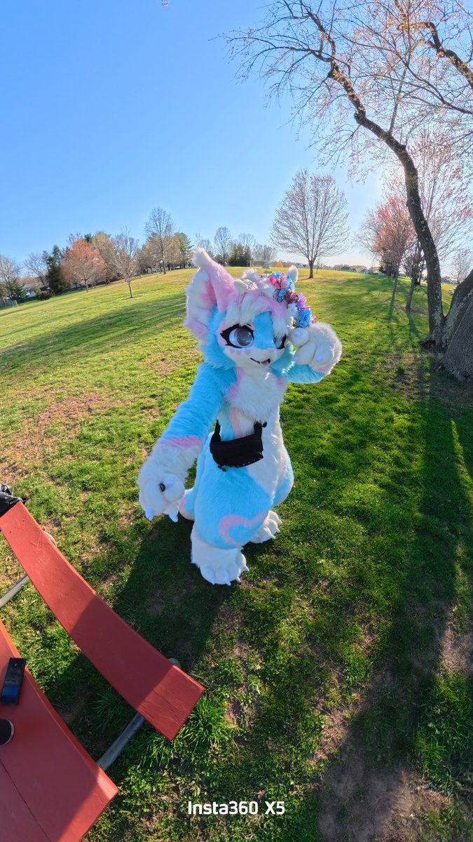 pawki ➡️ TFF tweet media