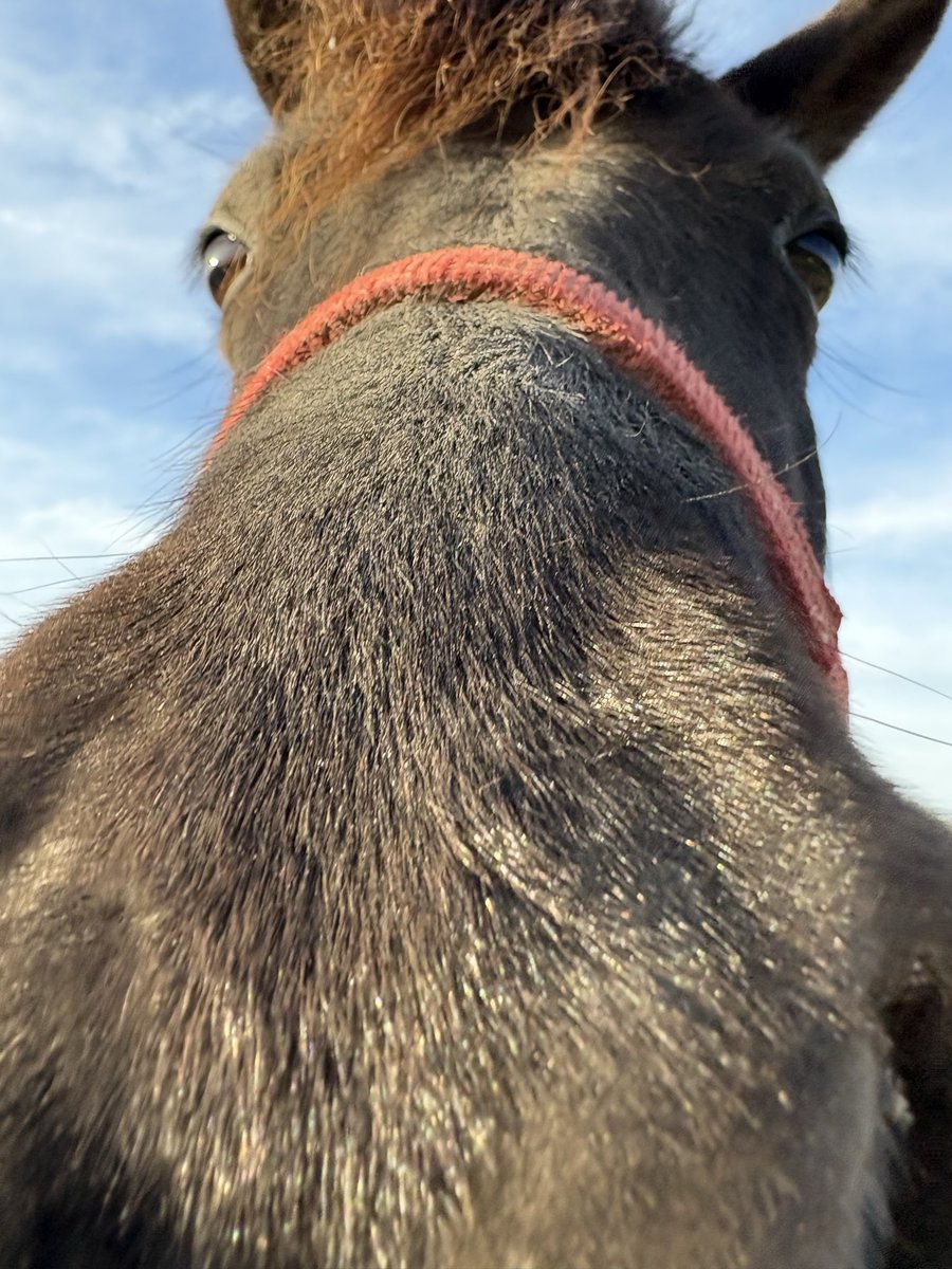 Brittany tweet media