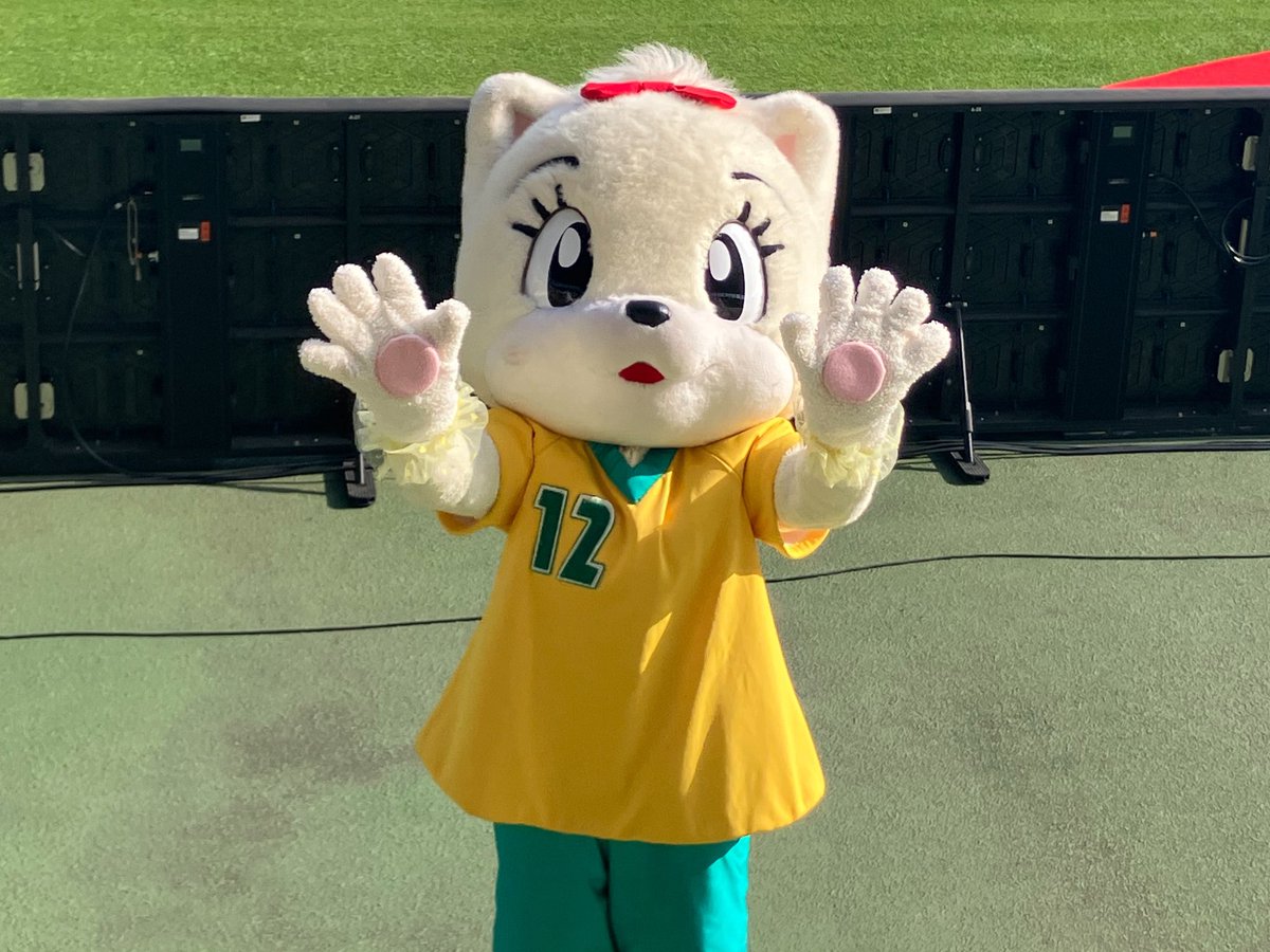ごん (@gonbe0419JEF) / Posts / X