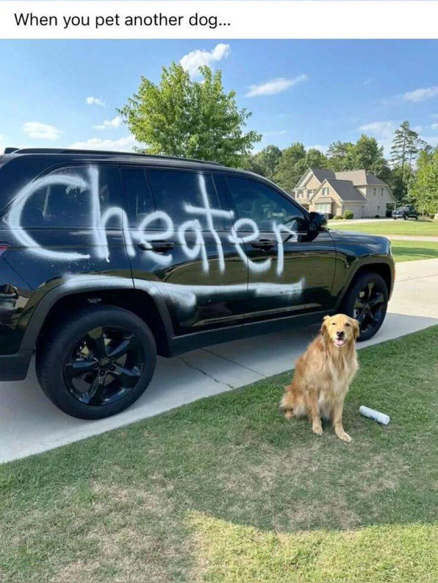 Puppieslover's tweet image. 