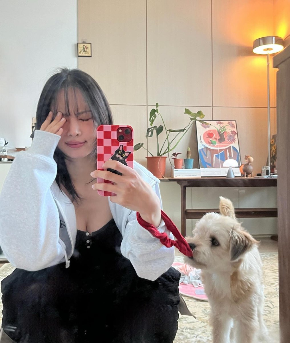 SB연구소 조교 tweet media