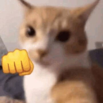 When you give your friend advice, they forget it, then someone else comes along and tells them the same thing, and they tell you that the other person gave them great advice 👊