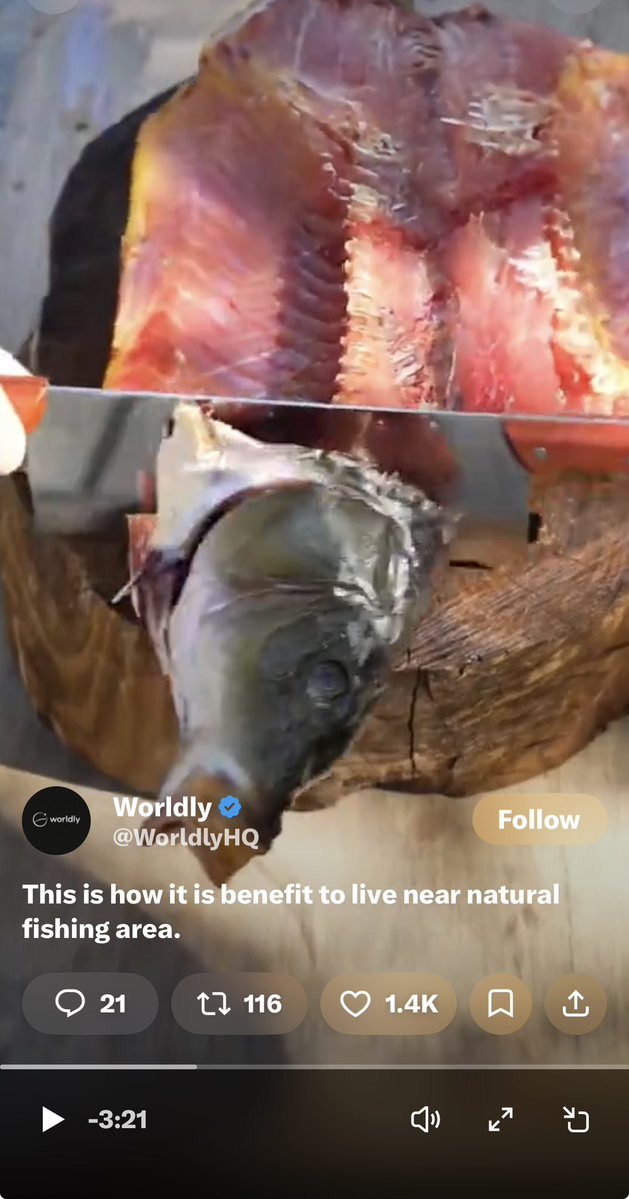 Major 𝕏 tweet media