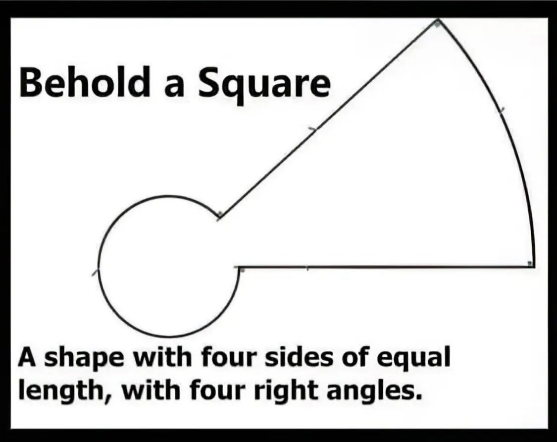 MaxTheChee 🇺🇸 tweet media