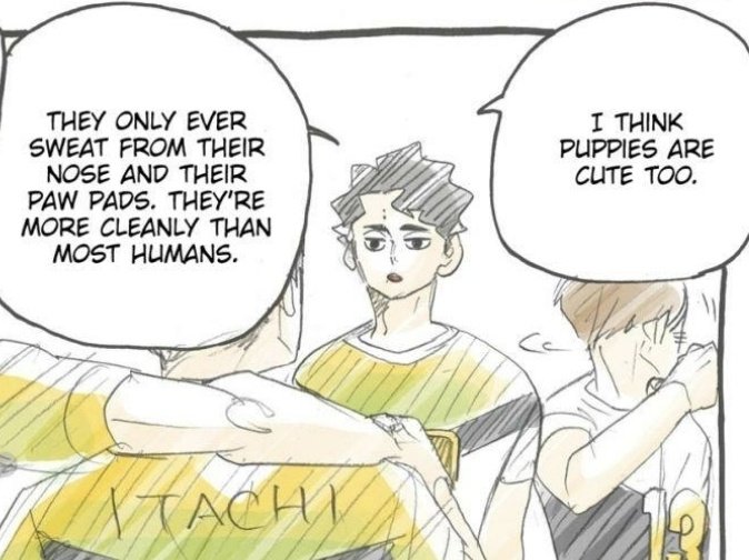 Nica • au's sakuatsu no 📌 tweet media