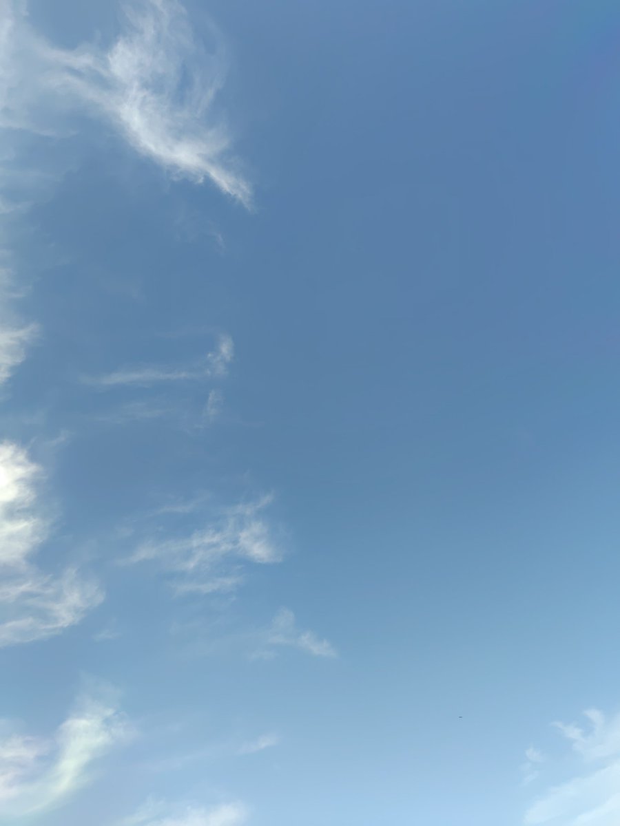 AKI🌹RILYS絵描き人🦁 tweet media