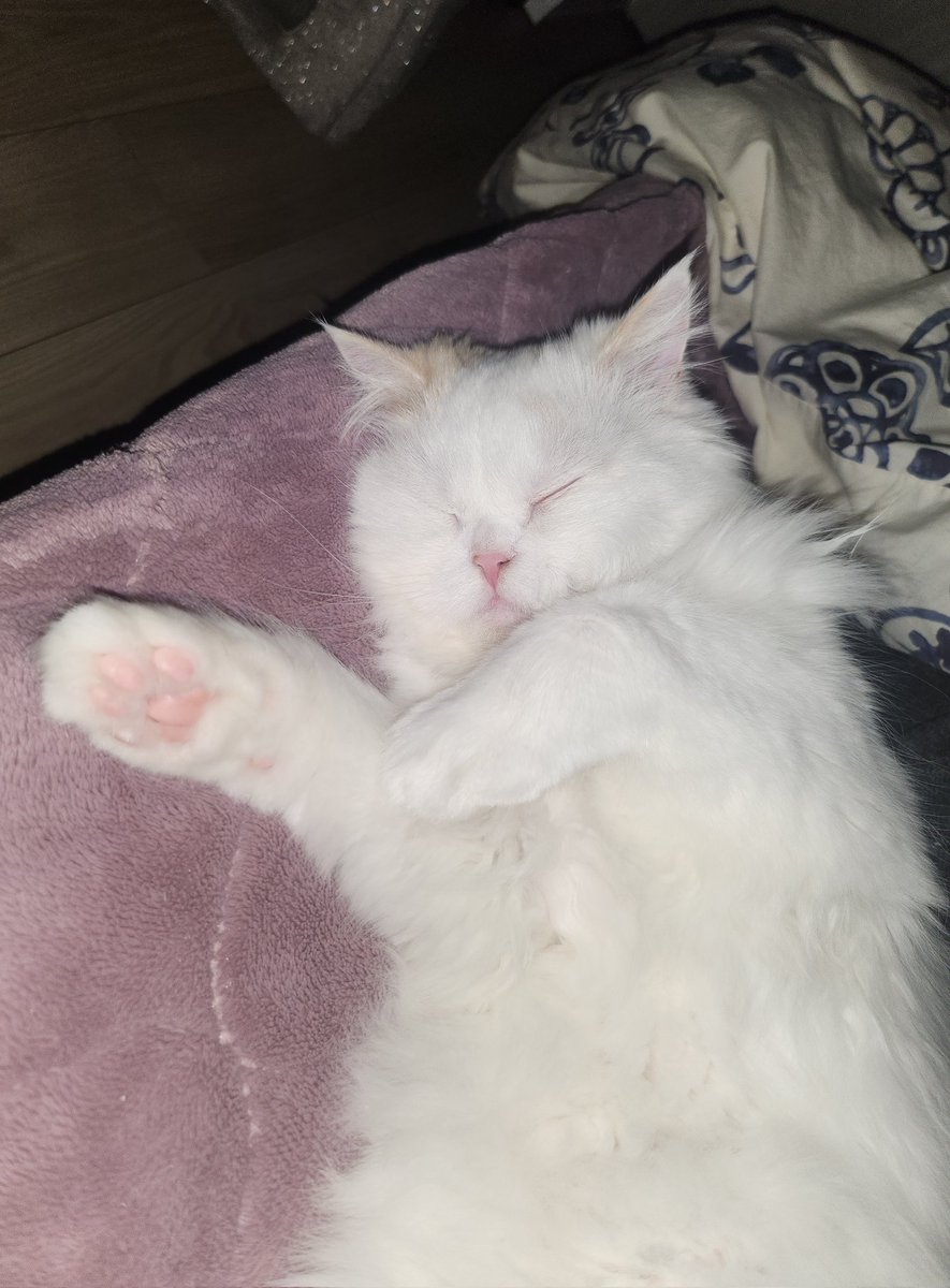 もぴ--✈︎ tweet media