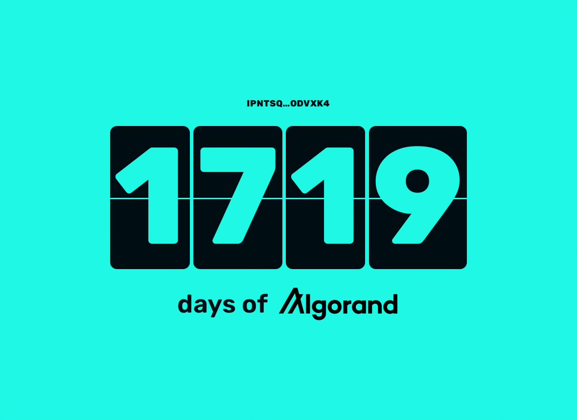 magnet.algo tweet media