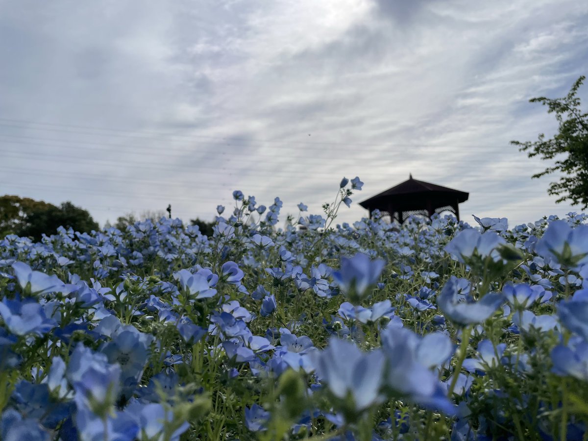 🔰teda tweet media