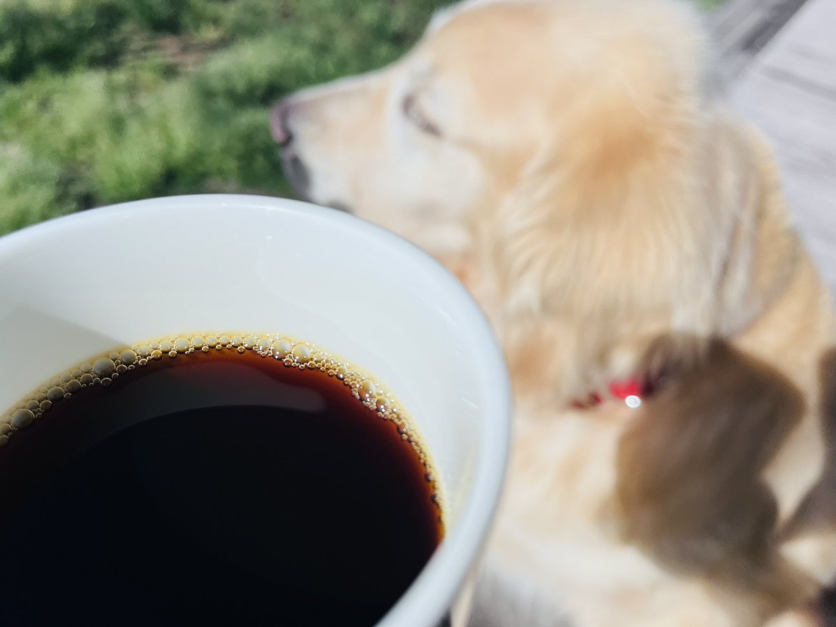 内藤聡 tweet media