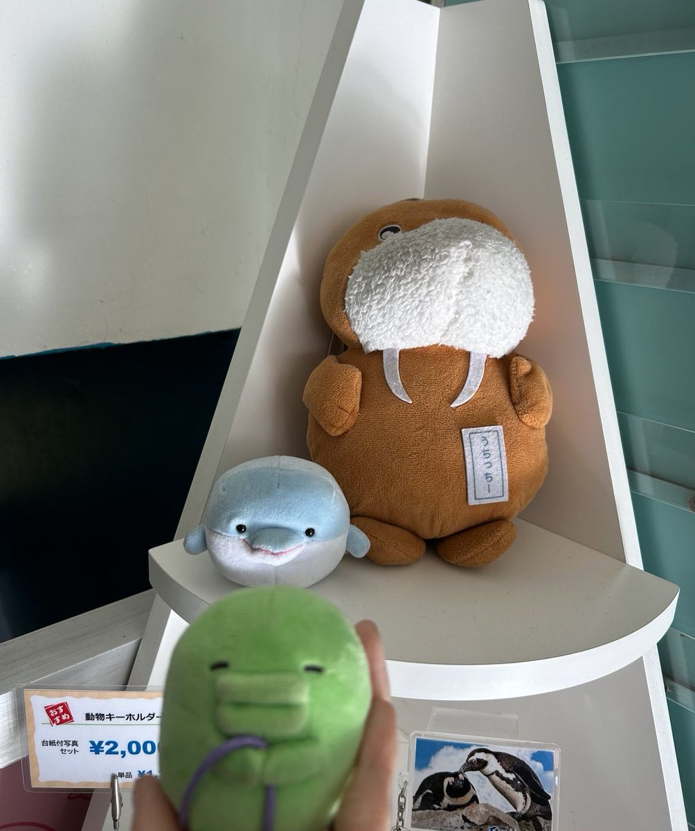 ぱっち tweet media