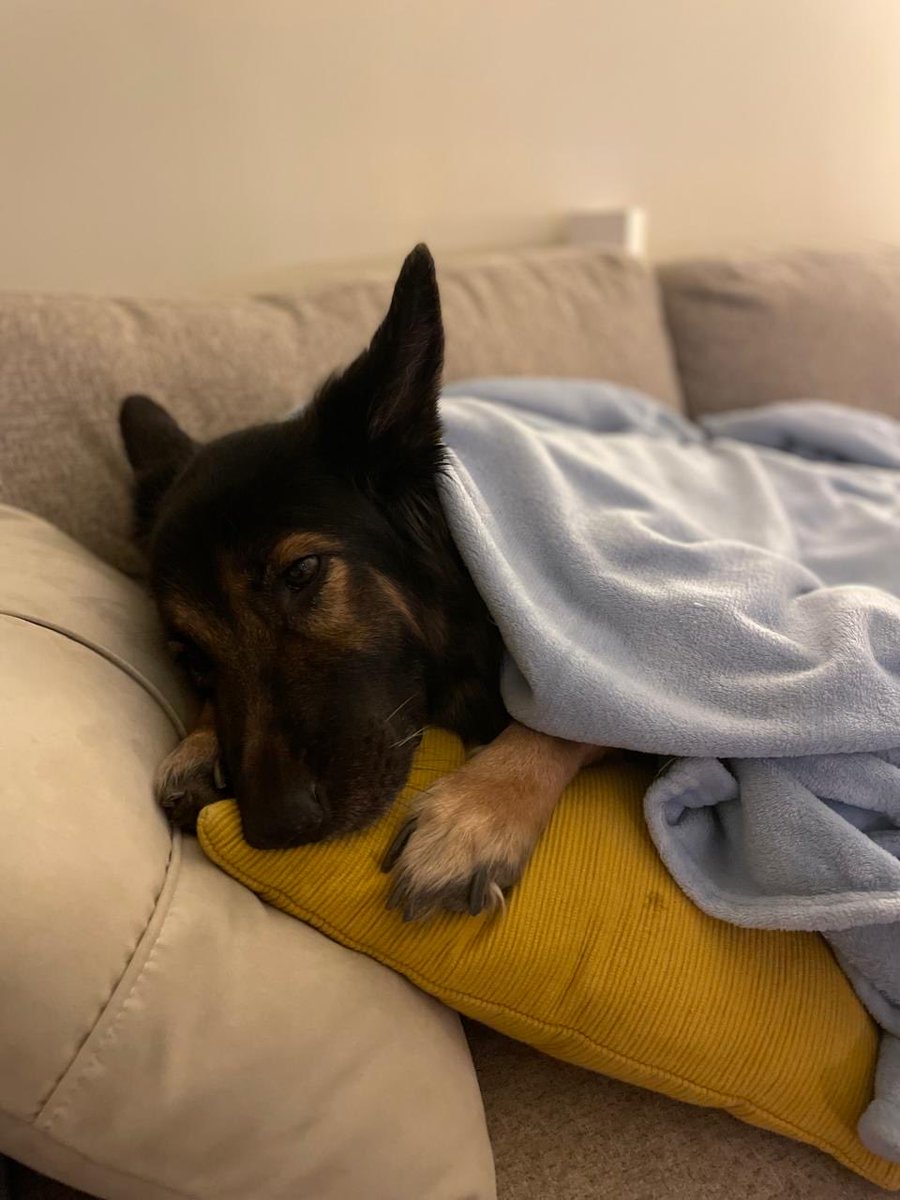 艾哈迈德 📡 tweet media