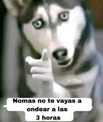 john cena tweet media