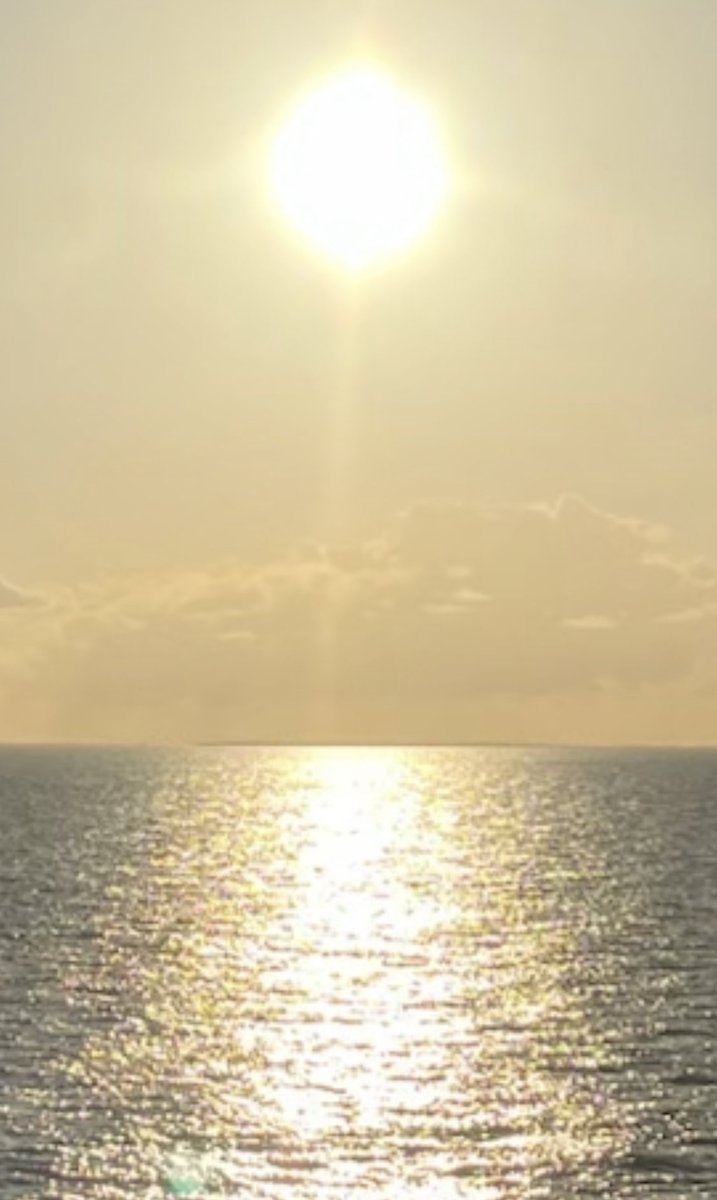 PLAIN To SEE tweet media