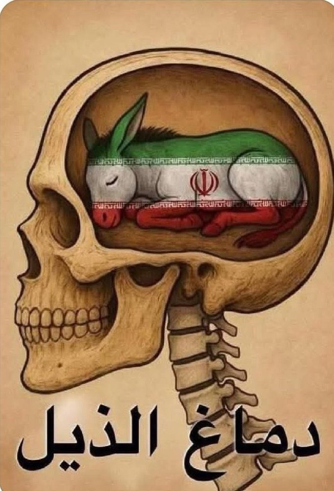 Better Call Me⚖️ tweet media