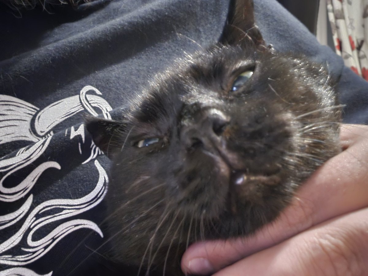 Angel Annie. tweet media