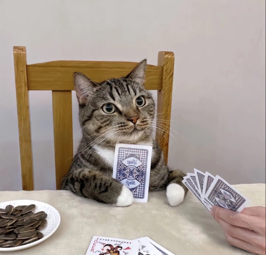 vxHorny.tao tweet media