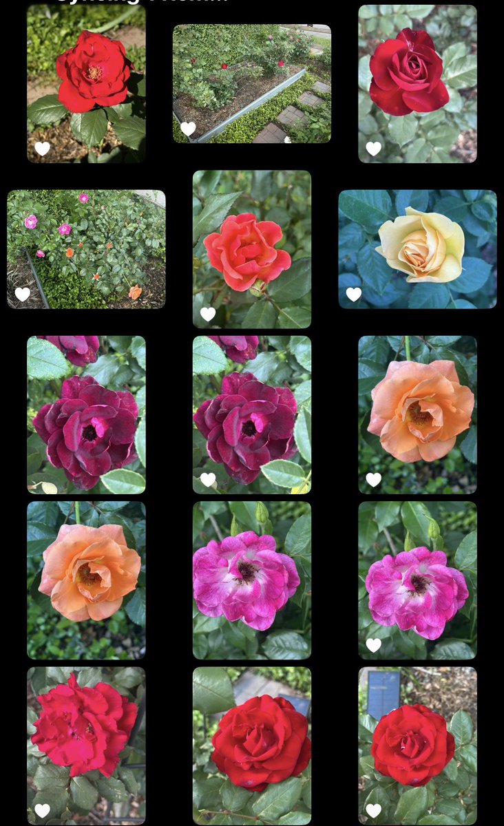 Patrick Skinner tweet media