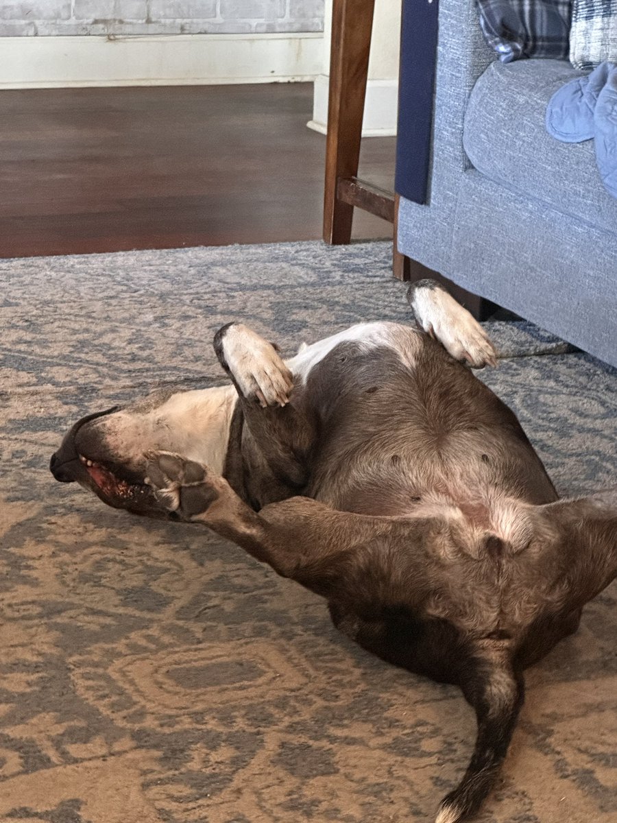 Madame Bovary tweet media