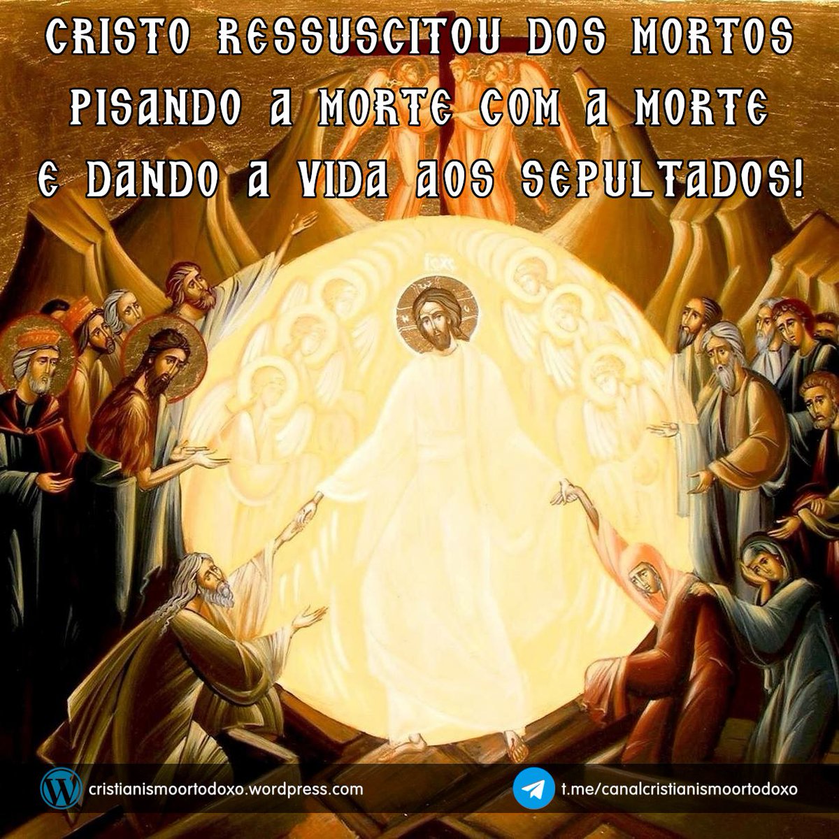 Fernando tweet media