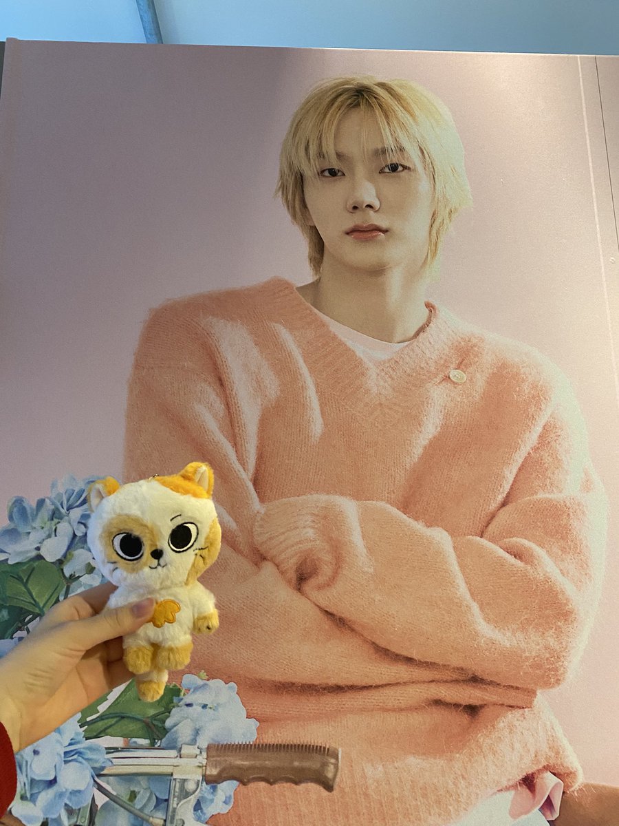 しーだ tweet media