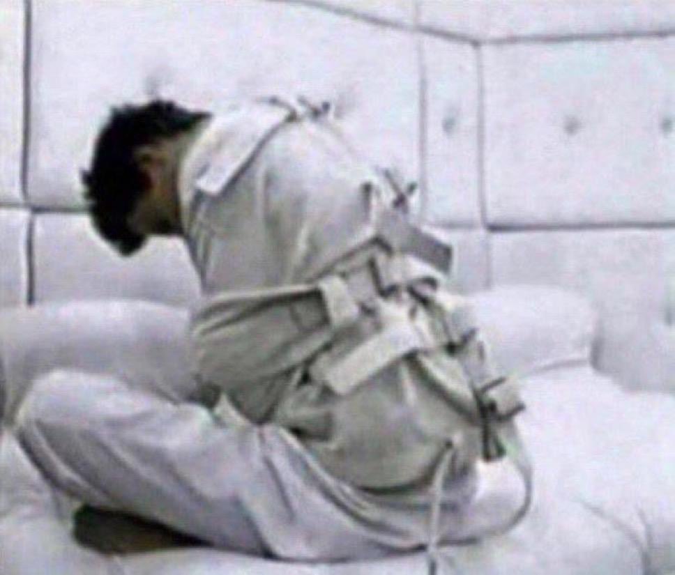 acervo jogos vorazes tweet media