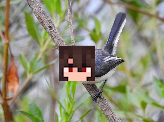 david ‡ tweet media