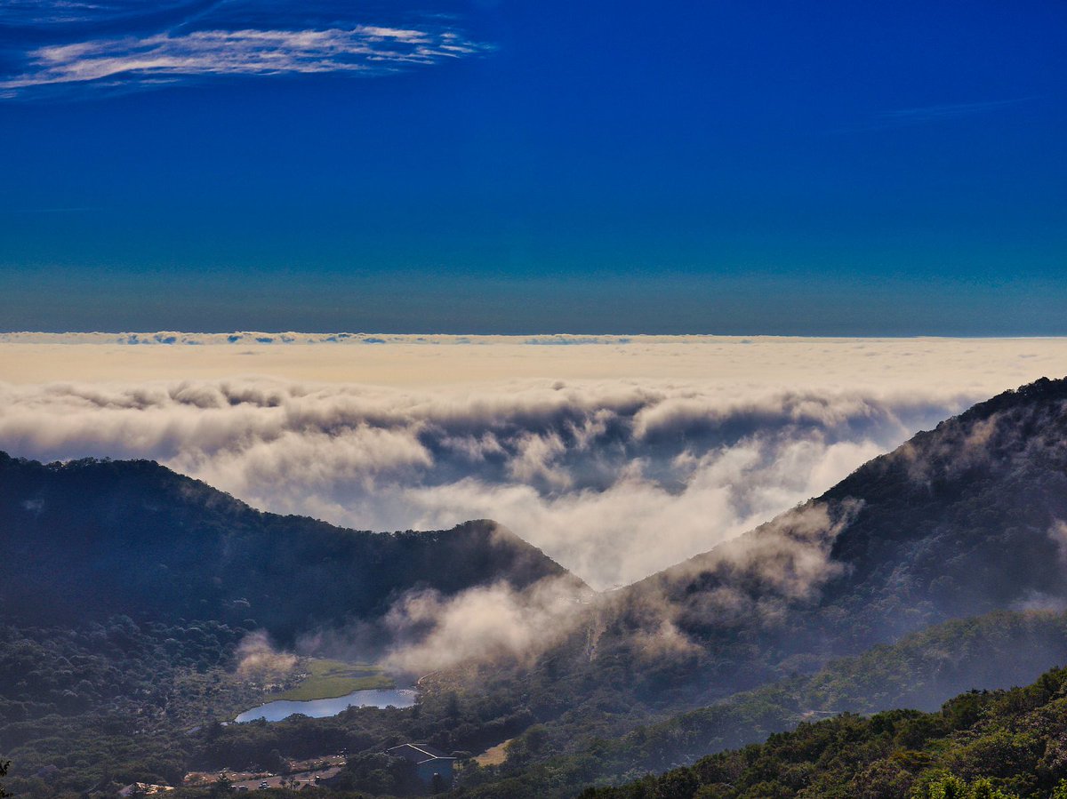 ヨウス tweet media