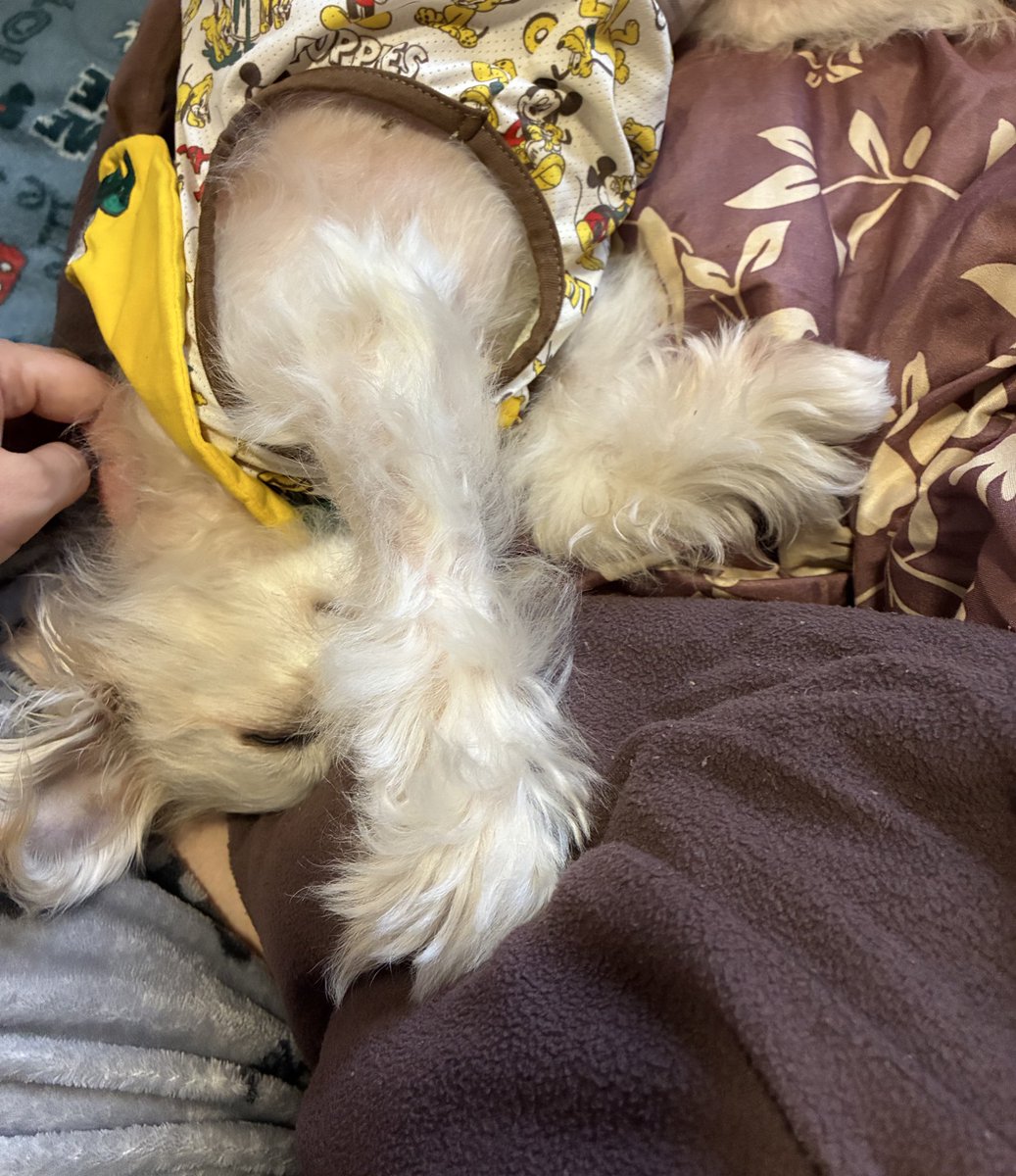 SHINON🤗 tweet media