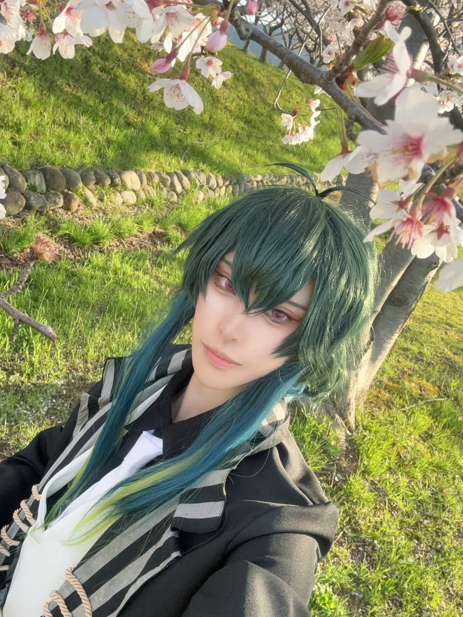 葉🍓@多忙 tweet media