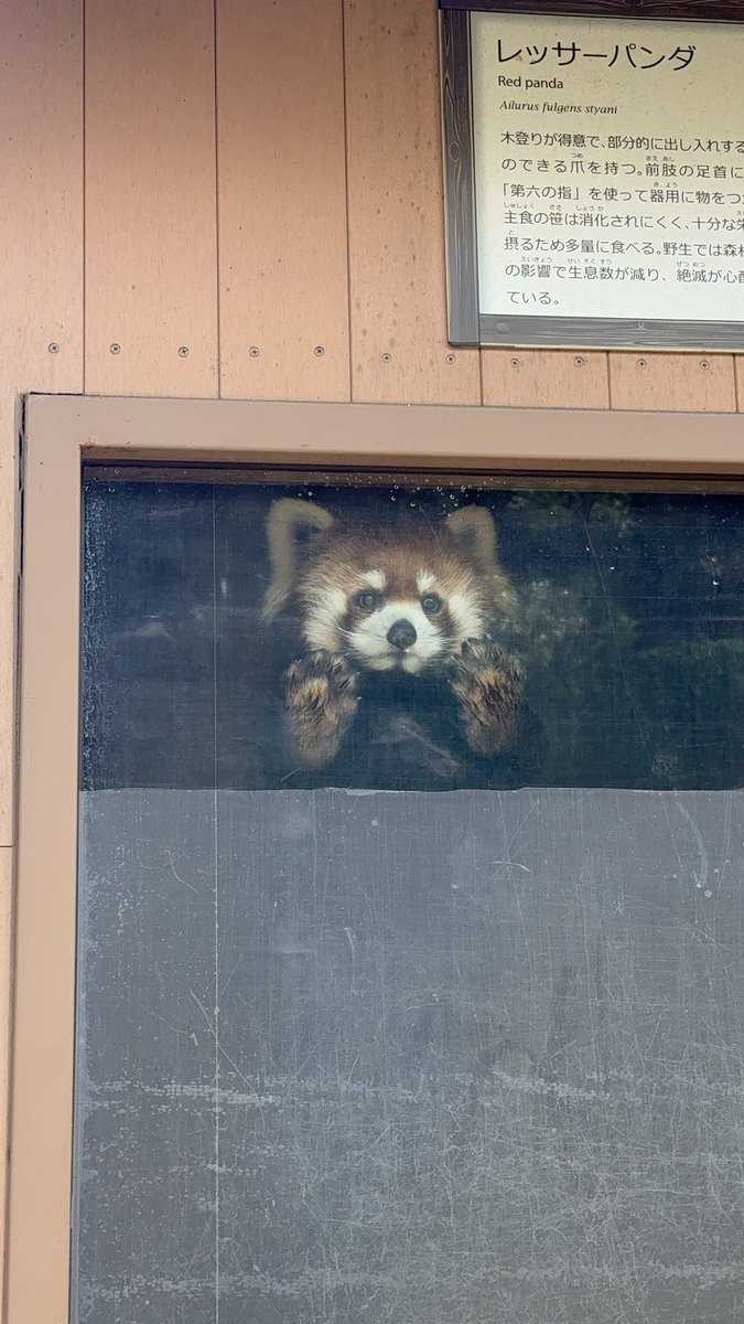 るん🐾 tweet media