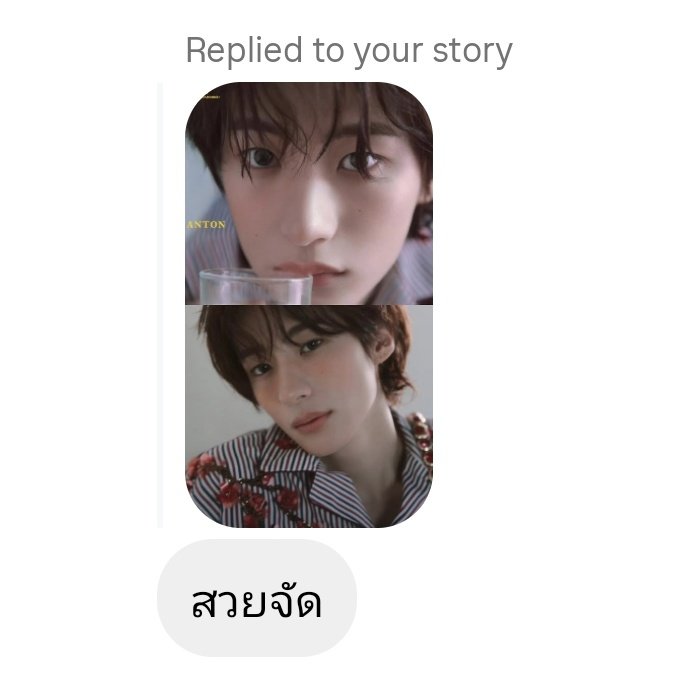 🐽น้องกะทิ ฮะ tweet media
