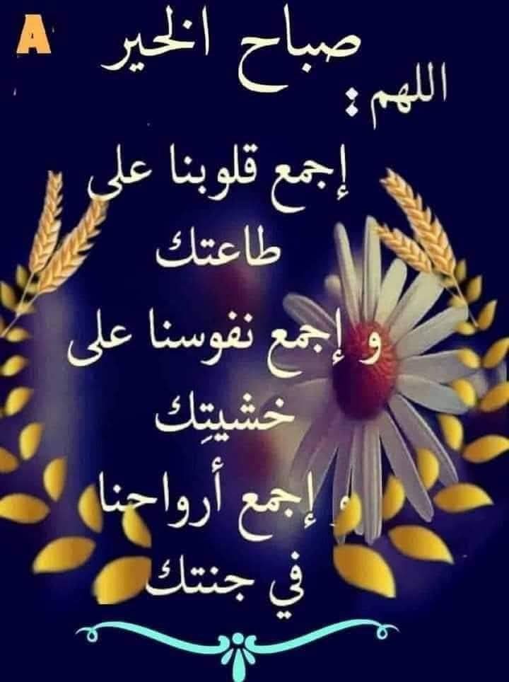 الاميره ساندي (@abomohdeen) on Twitter photo 