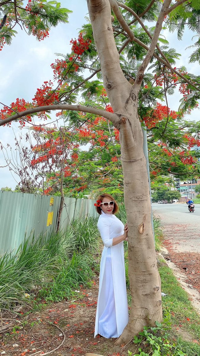 Xuân Loan Dâm Đãng tweet media