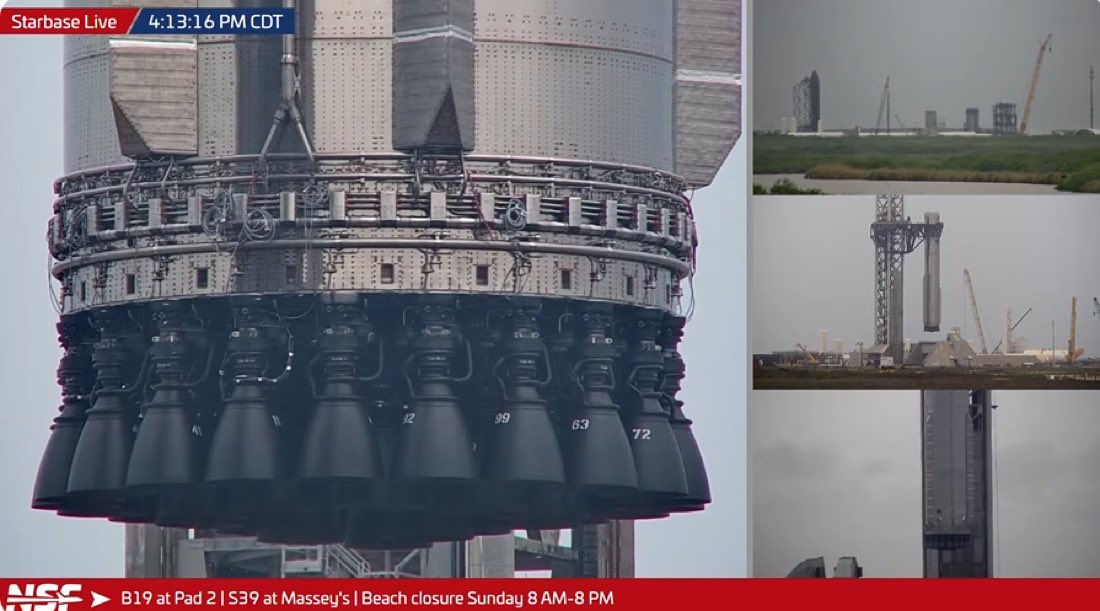 Not the Bee tweet media