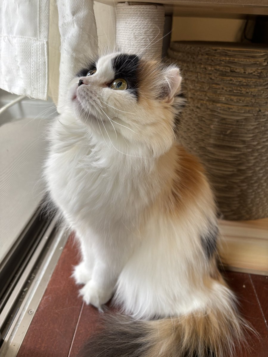 キムチ母‼️ tweet media