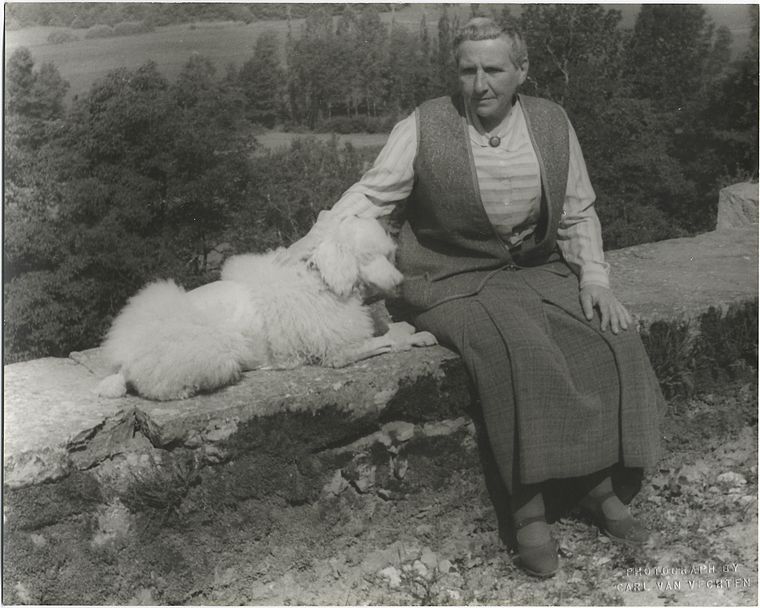 New York Public Library Research tweet media