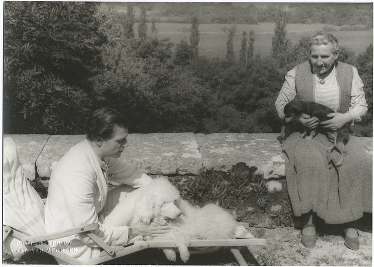 New York Public Library Research tweet media