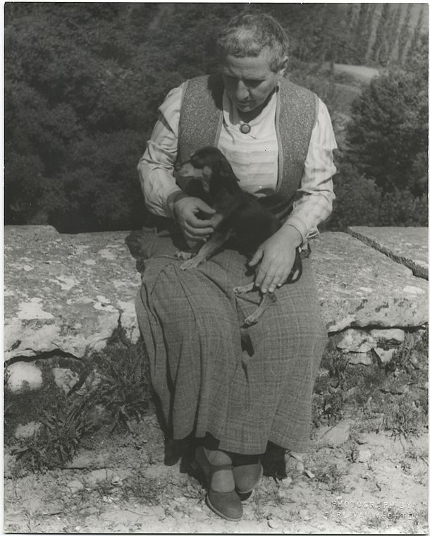 New York Public Library Research tweet media