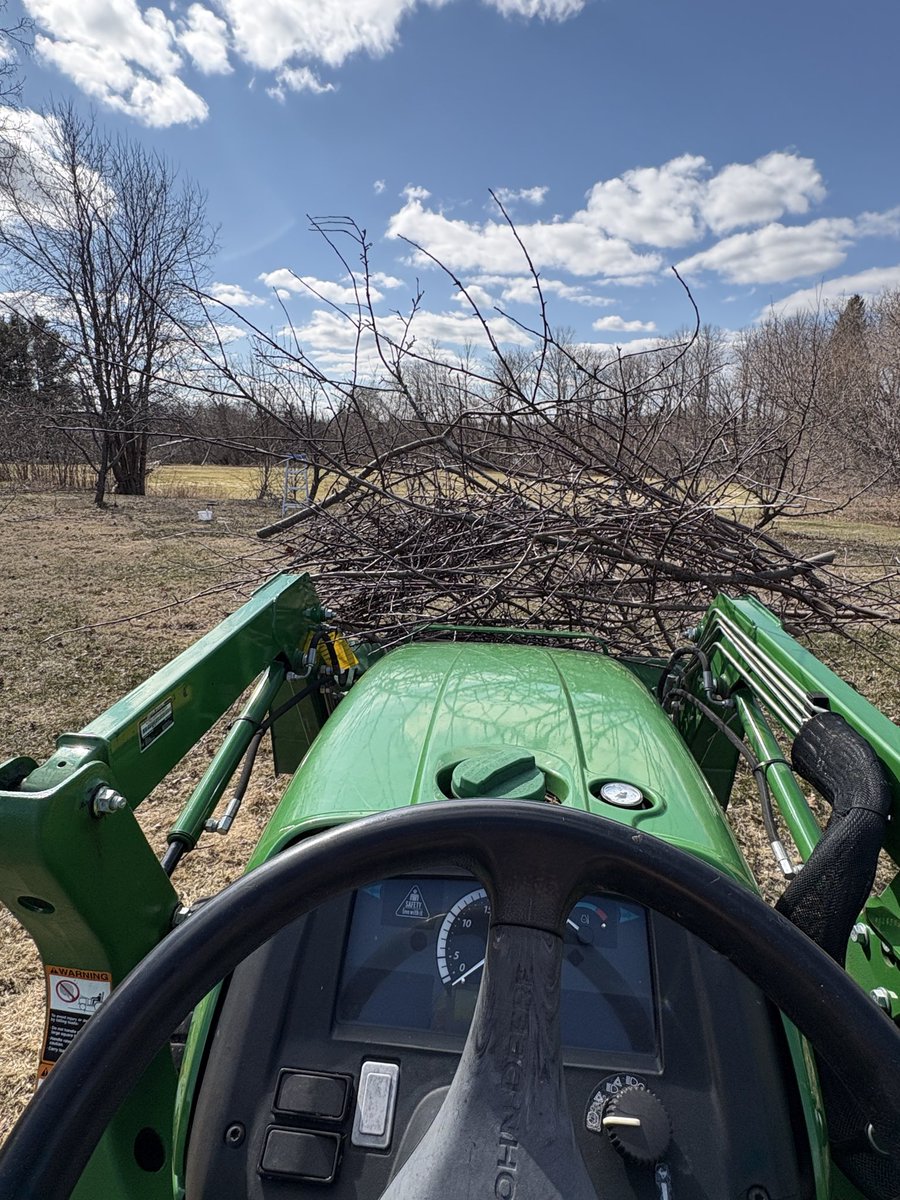 TheBeeGal's tweet photo. What a beautiful Ottawa day for outdoor work! Spring clean up! https://t.co/N6B8vQRW8C