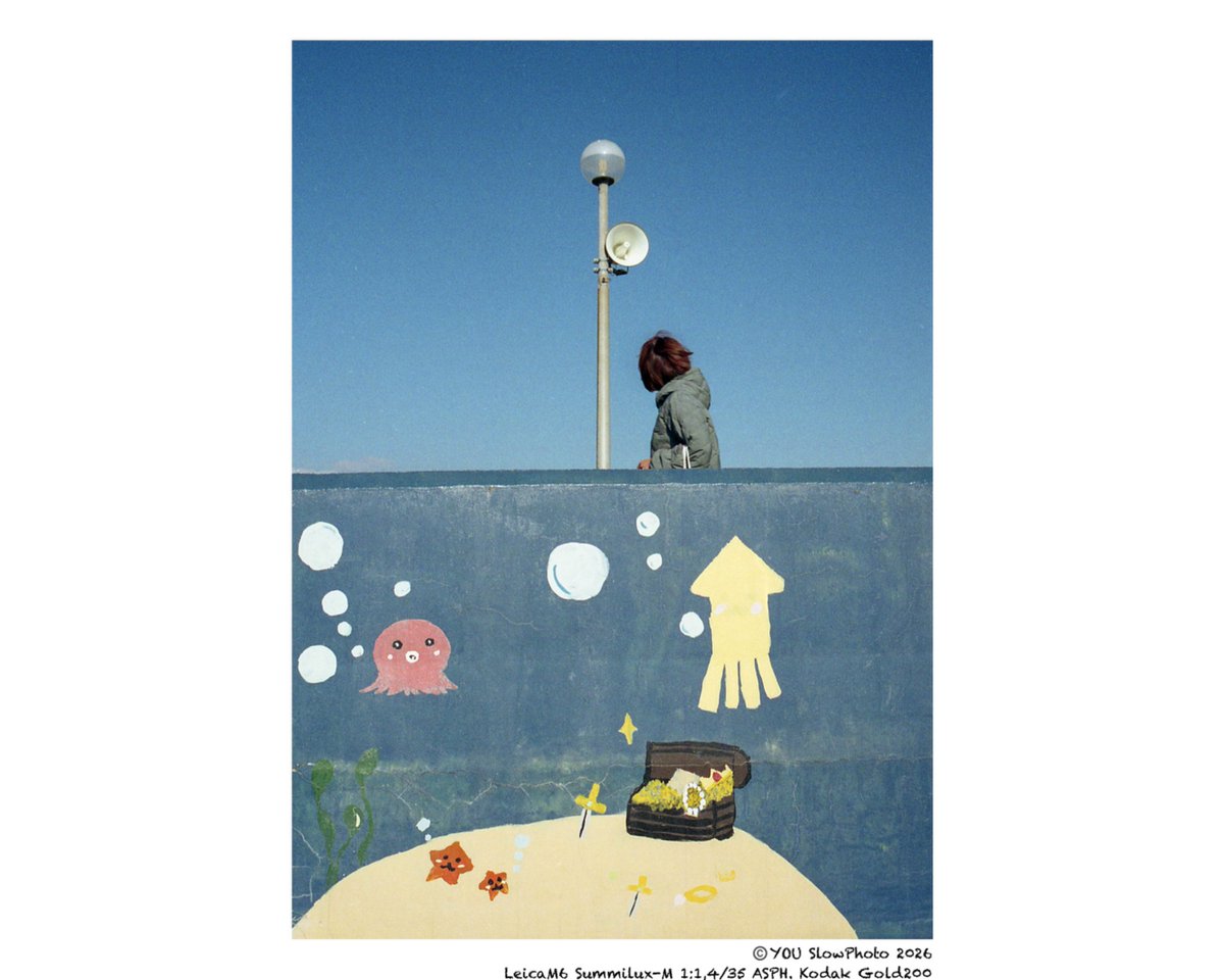 YOU_tanko's tweet image. TOKYO BAYSIDE SCENE
海風 
seaside wind

#filmphotography 
#snapphotography 
#tokyobay