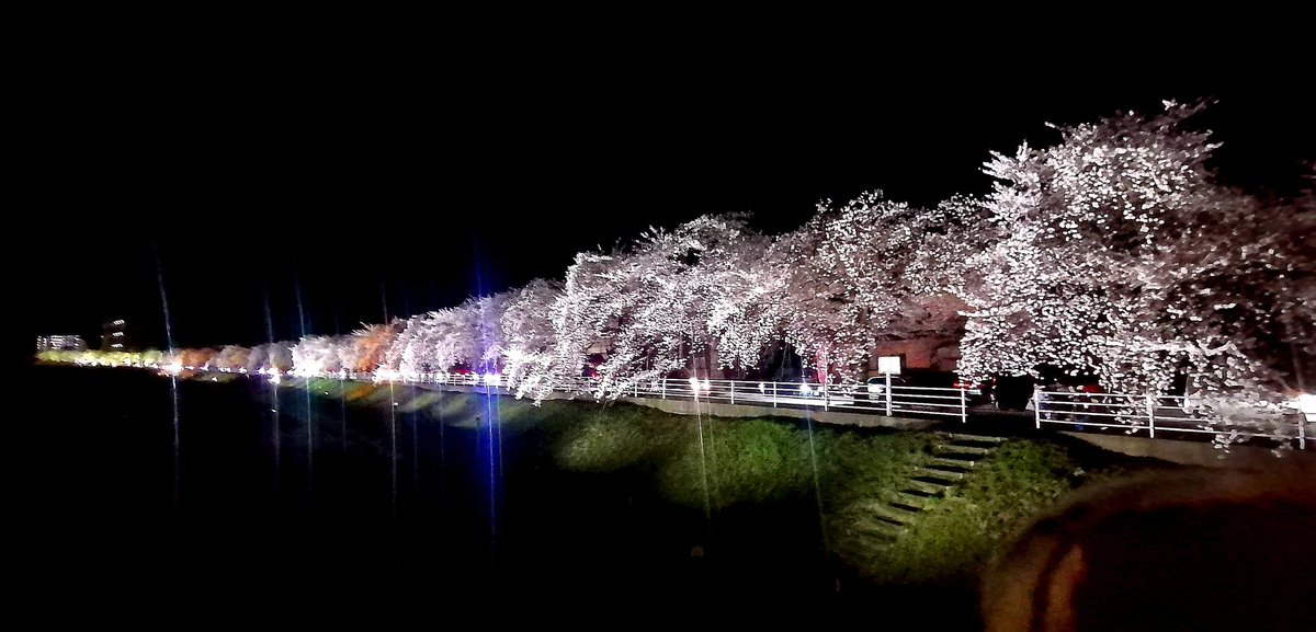 コー ꒰ঌLet's live together໒꒱ tweet media