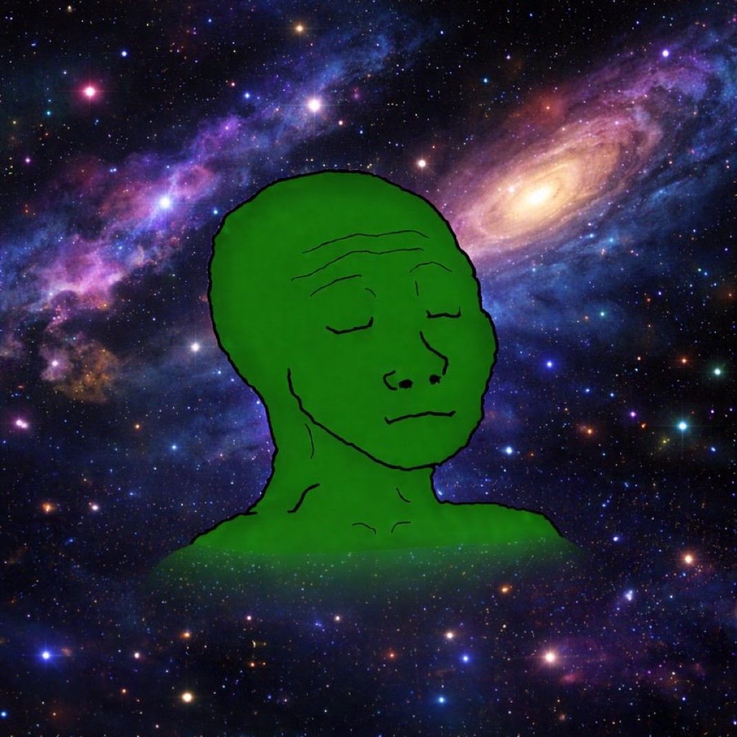 BOMO 🐸 tweet media