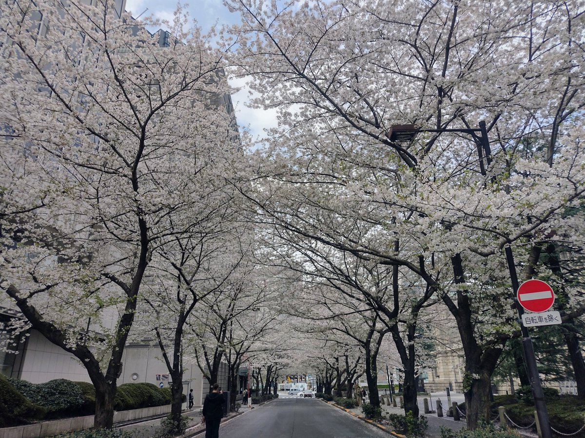 244=ツヨシ@ズッコケ断酒投資問答/アラフィフをしぶとく生き抜く！ tweet media