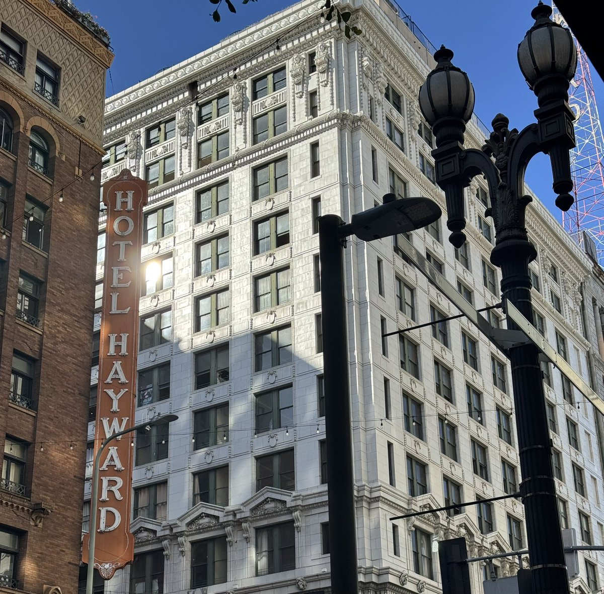 Forces From Above tweet media