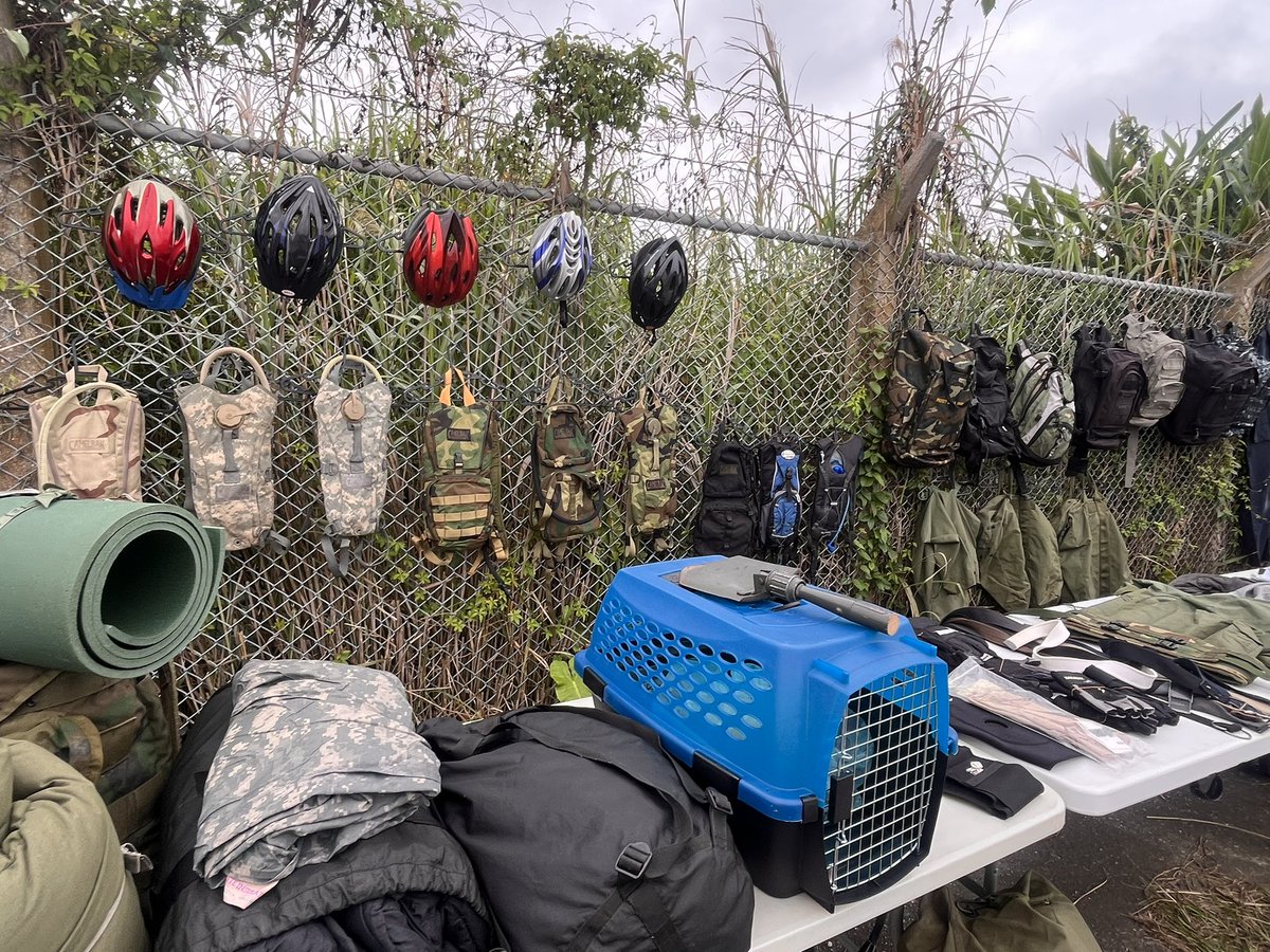 Shuga-to tweet media